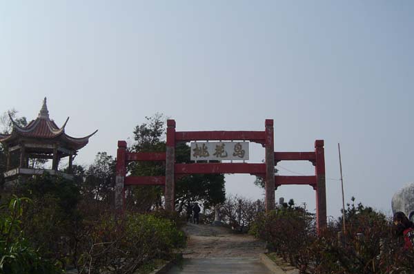 點擊新窗口打開大圖